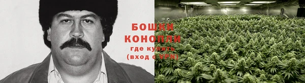 дмт Балахна